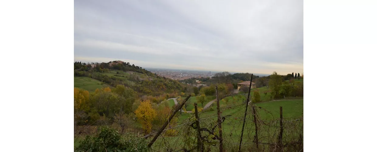 Fondazione Villa Ghigi