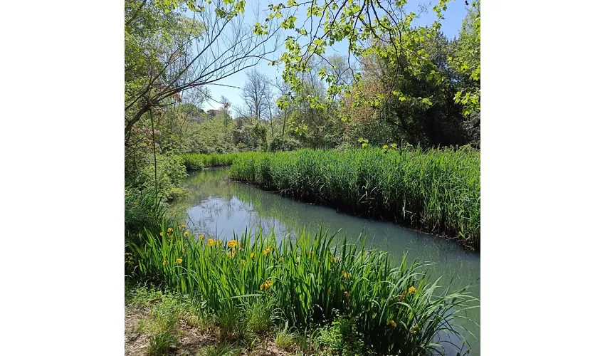 Parque de la Versiliana