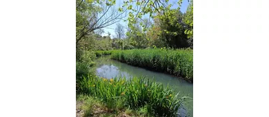 Parque de la Versiliana