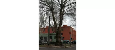 Feira de Artesanato Artístico da Sardenha - Mogoro