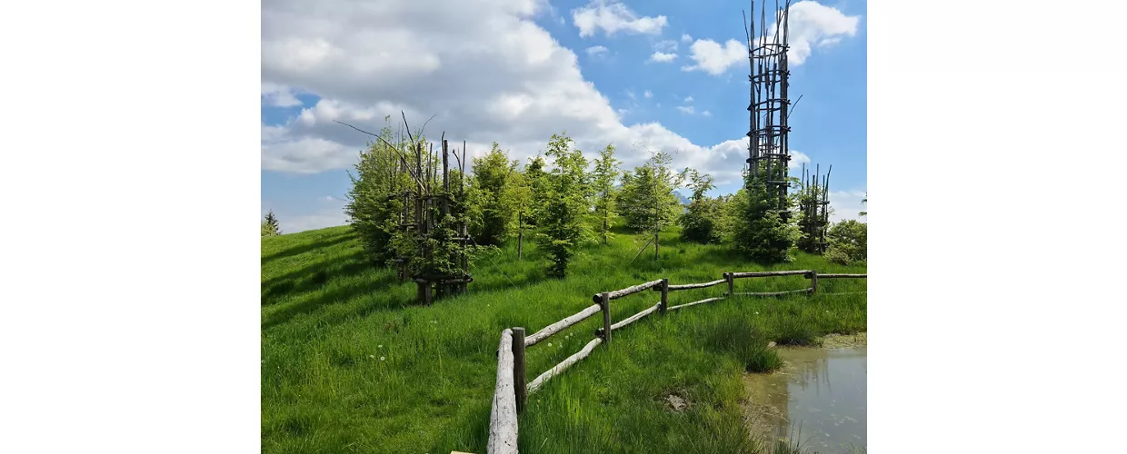 Cathédrale végétale