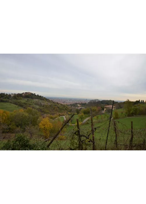 Fondation Villa Ghigi