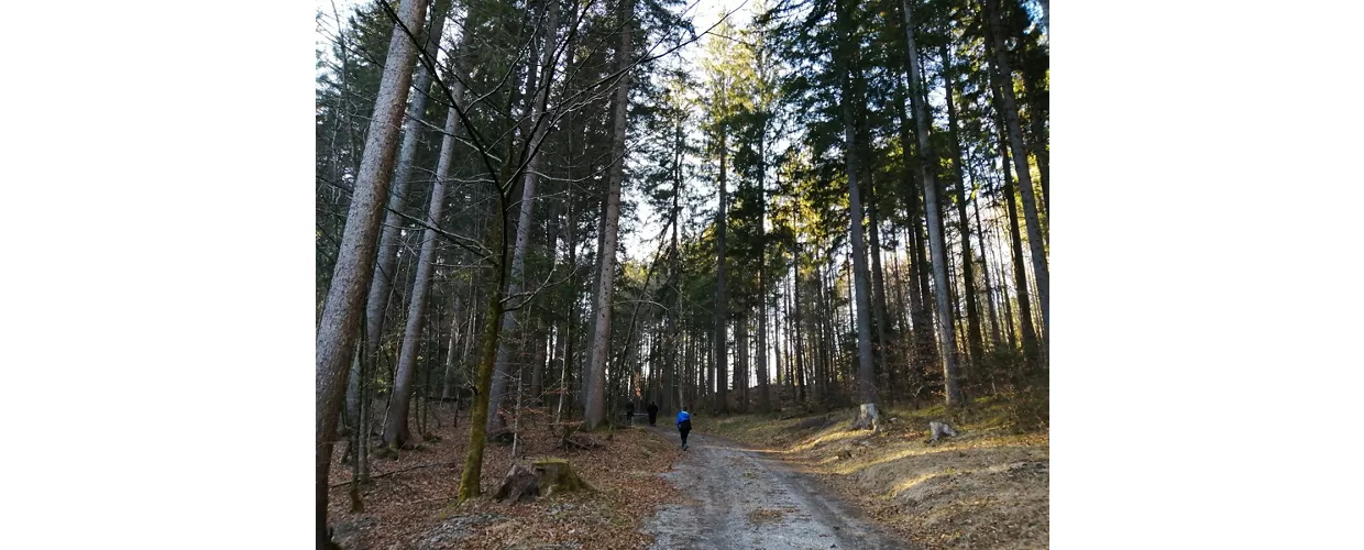 Piste cyclable Alpe-Adria