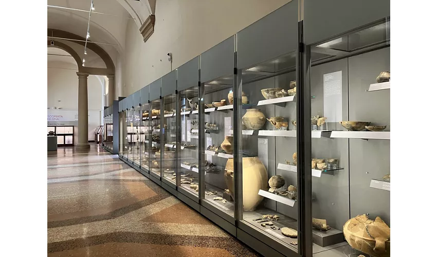 The Bologna Archaeological Museum