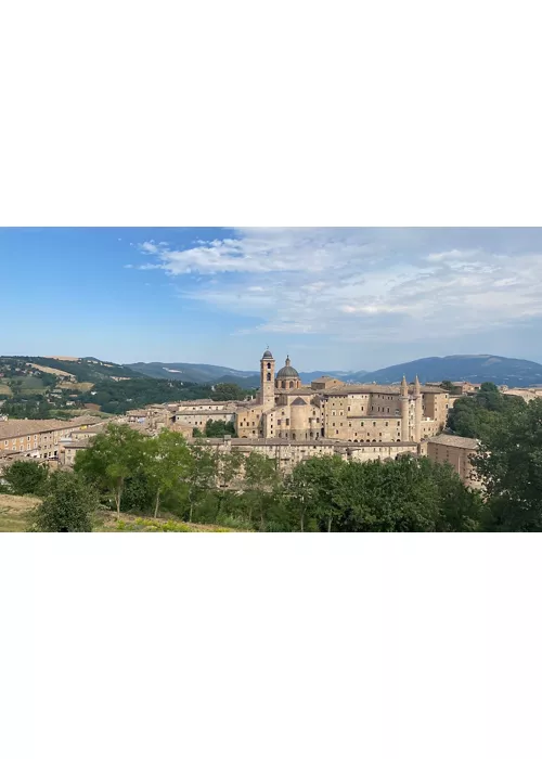 urbino