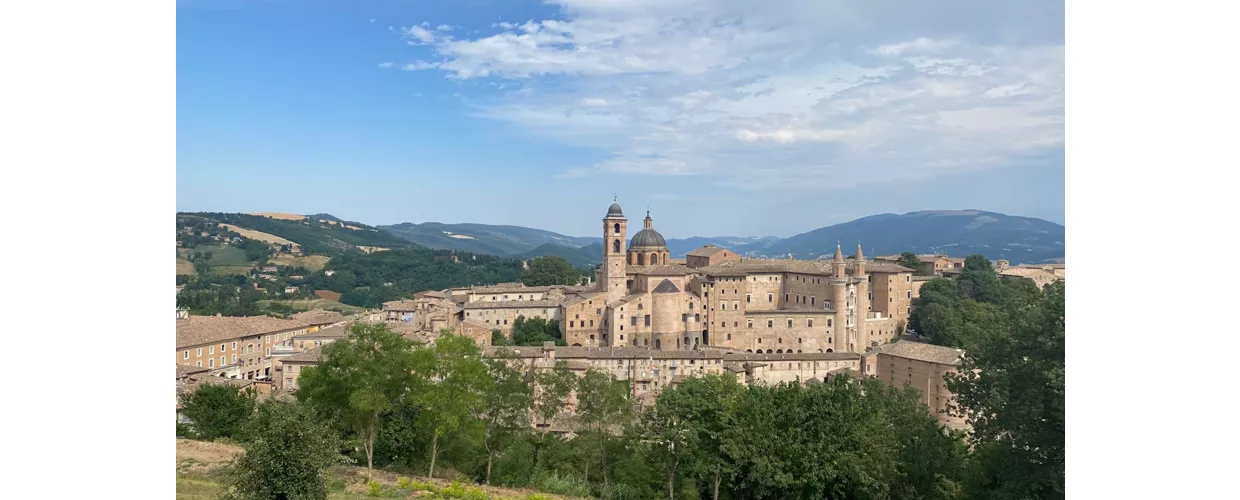 urbino