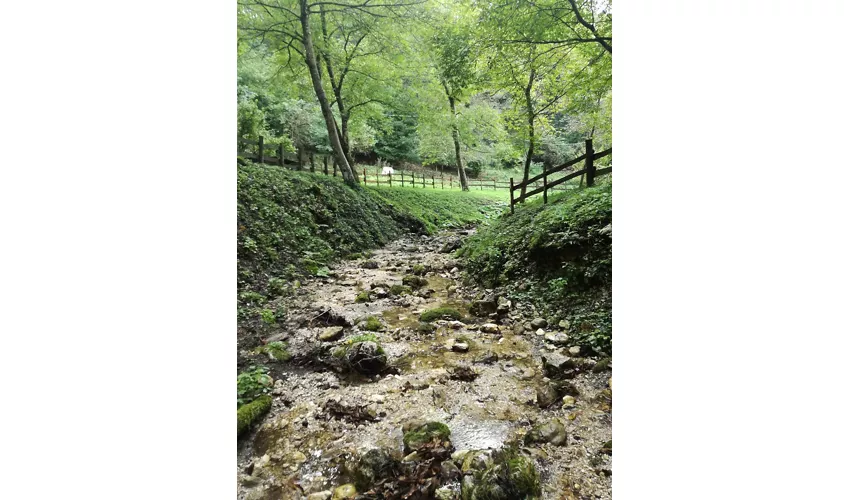 Cascata di Alfero