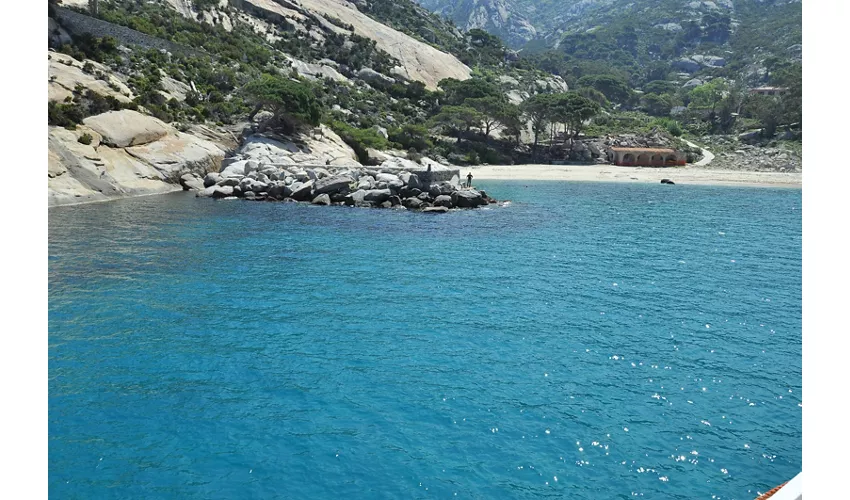 Isola di Montecristo