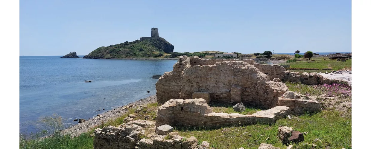 parco naturale di molentargius saline