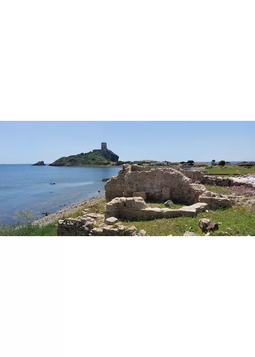 parco naturale di molentargius saline