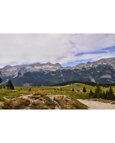 Haut-plateau du Montasio