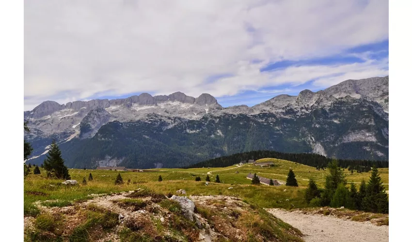Haut-plateau du Montasio