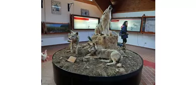Centro Visita Cupone