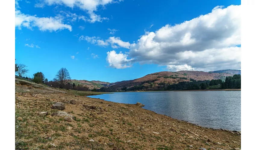 Lago Ampollino: un angolo di natura nel cuore della Sila