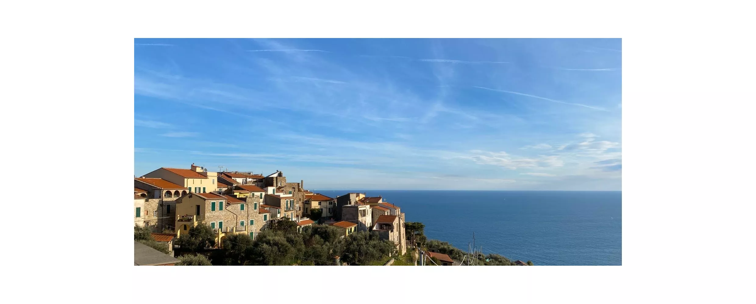 Cipressa