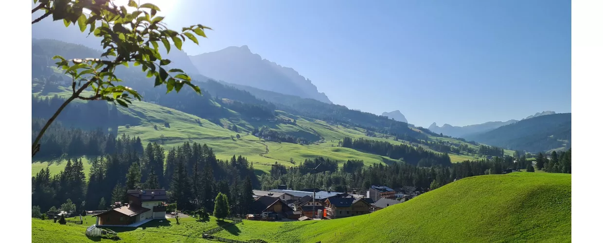 Badia