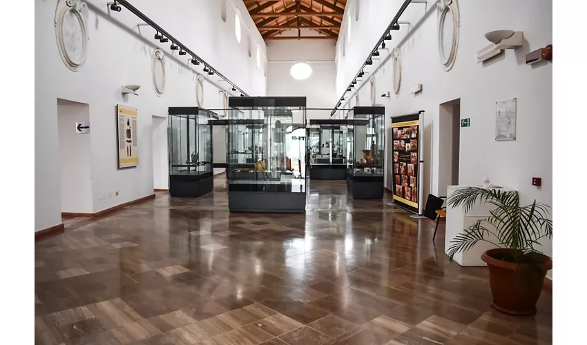Museo Archeologico Nazionale