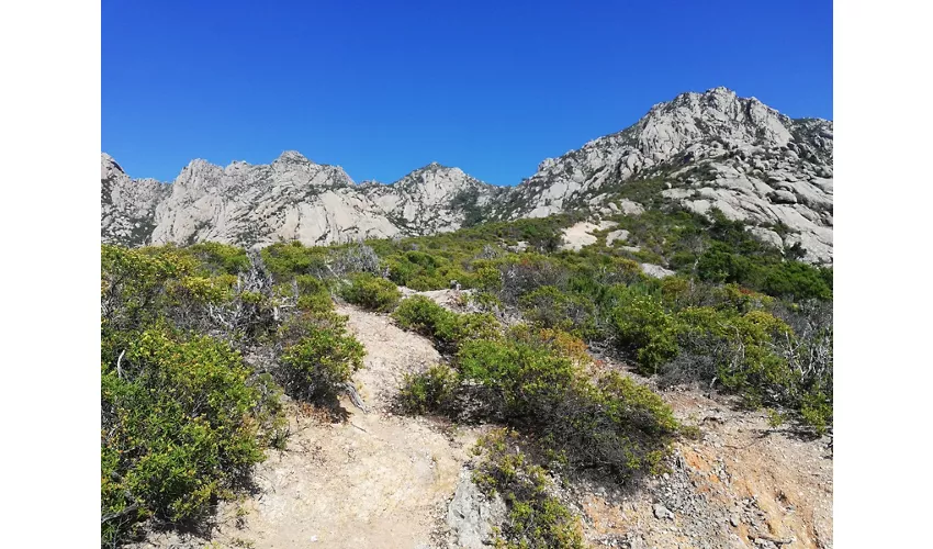 Isola di Montecristo