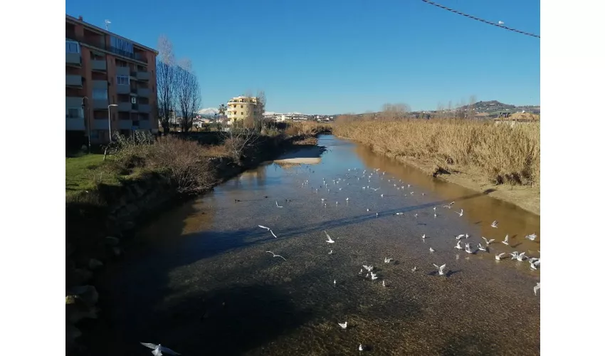 Alba Adriatica