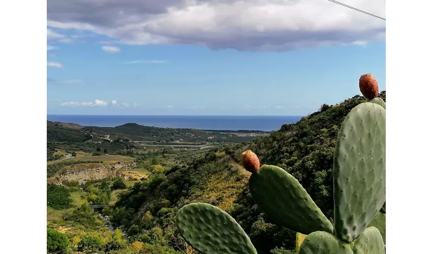 Roccelletta di Borgia