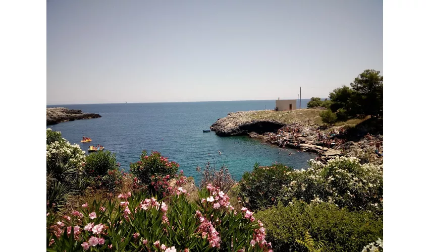 Porto Badisco