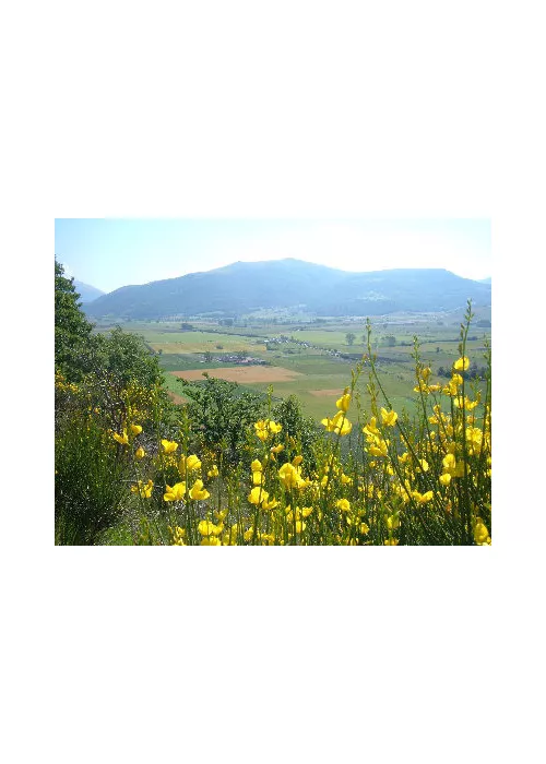 Colfiorito
