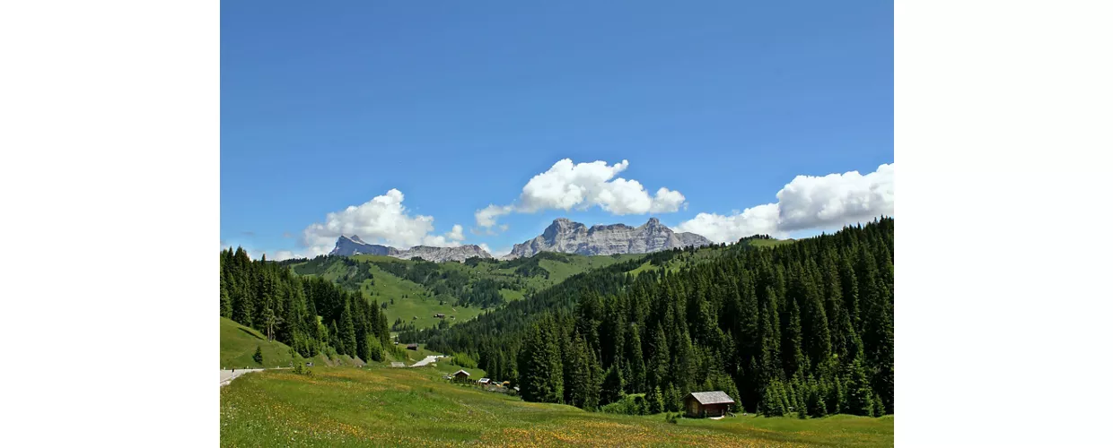 Col di Lana paesaggio