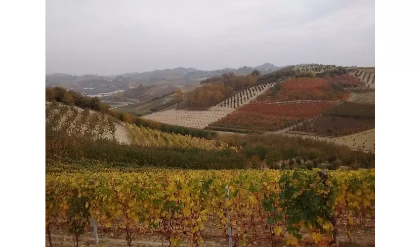 Das Jagdschloss Stupinigi