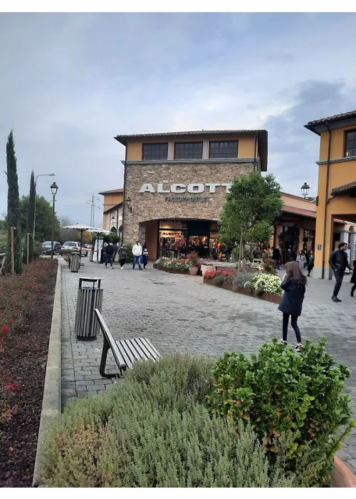 museo del violino di cremona