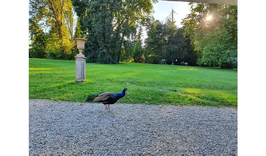 Fondation Magnani-Rocca