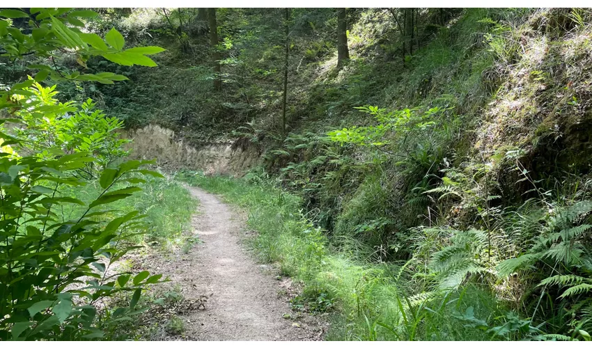 Parco Naturale Regionale delle Serre