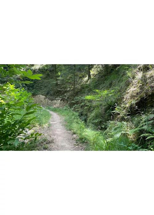 Parco Naturale Regionale delle Serre