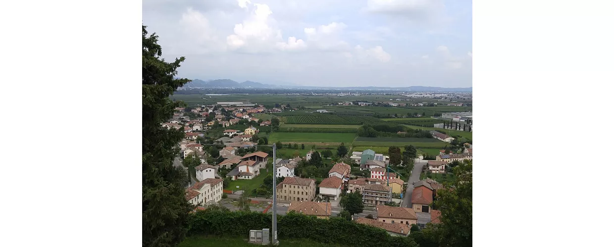 Vidor