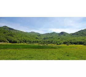 Lago Moo