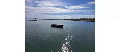 Sacca degli Scardovari
