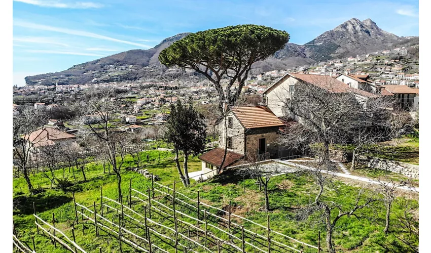 Castello di Rossena Canossa 