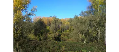 Das Naturschutzgebiet der Insel Boscone