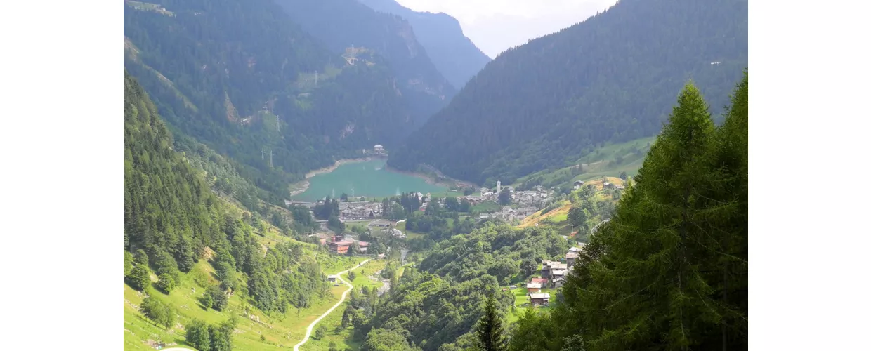 Isola