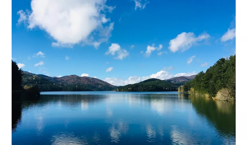 Lago Ampollino: un angolo di natura nel cuore della Sila