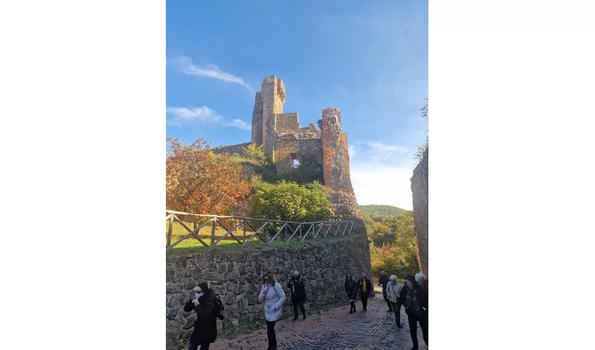 Foligno