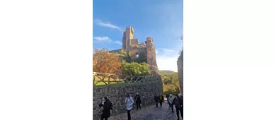 Foligno