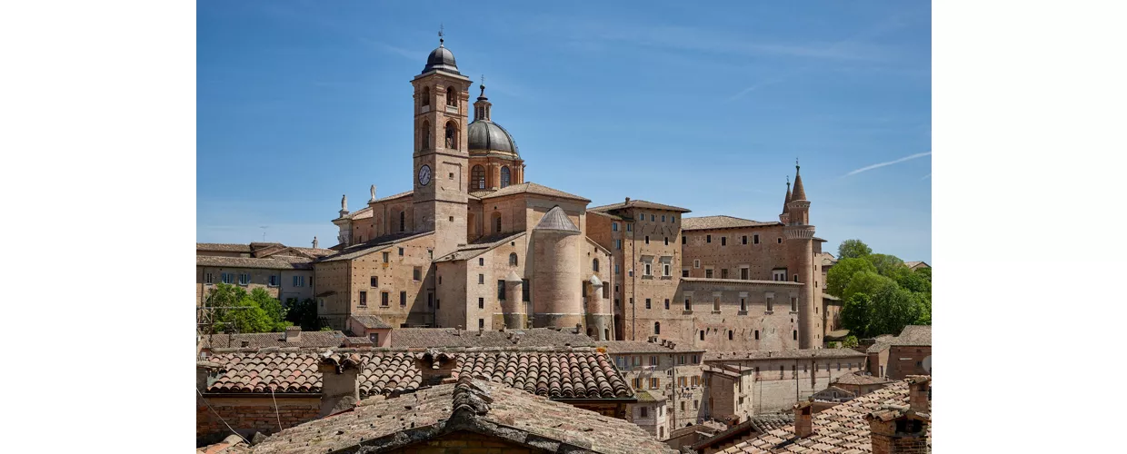 duomo di urbino