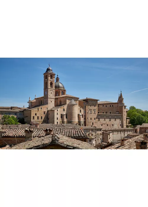 duomo di urbino