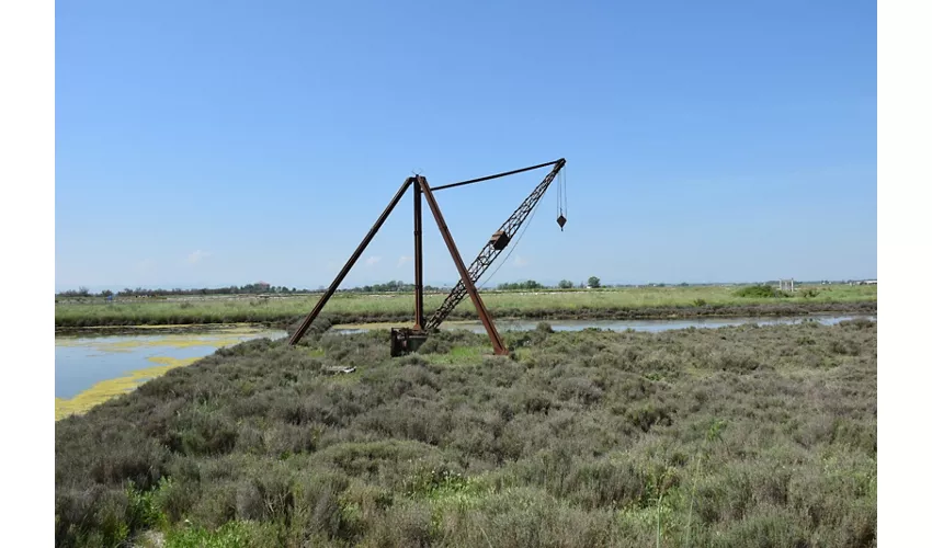 Salina di Cervia