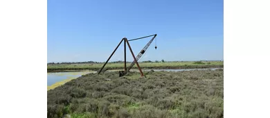 Salina di Cervia