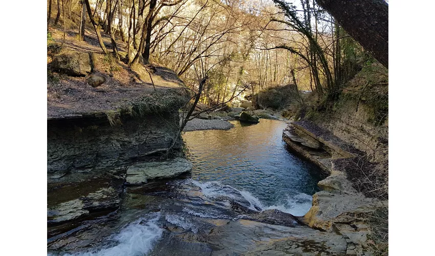 Cascada de Alfero