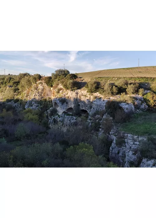 cripta del peccato originale