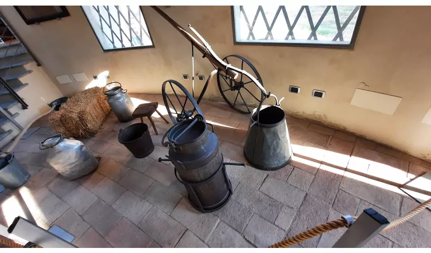 Museu do Parmigiano Reggiano