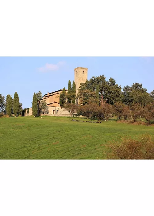 Castello di Contignaco