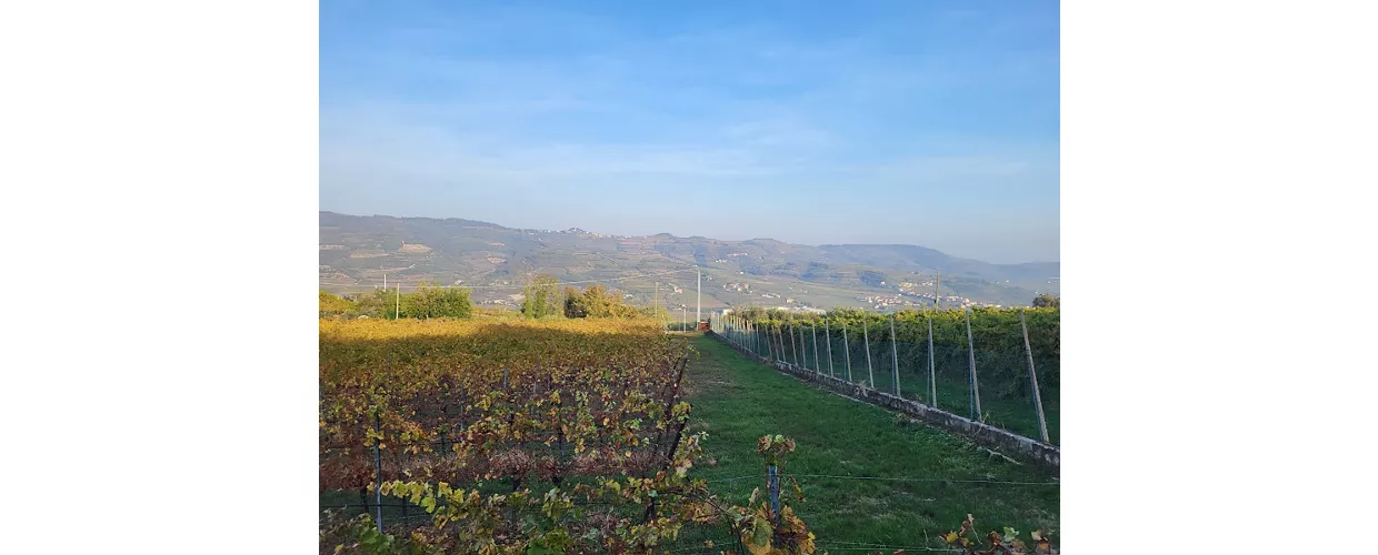 Castelcerino